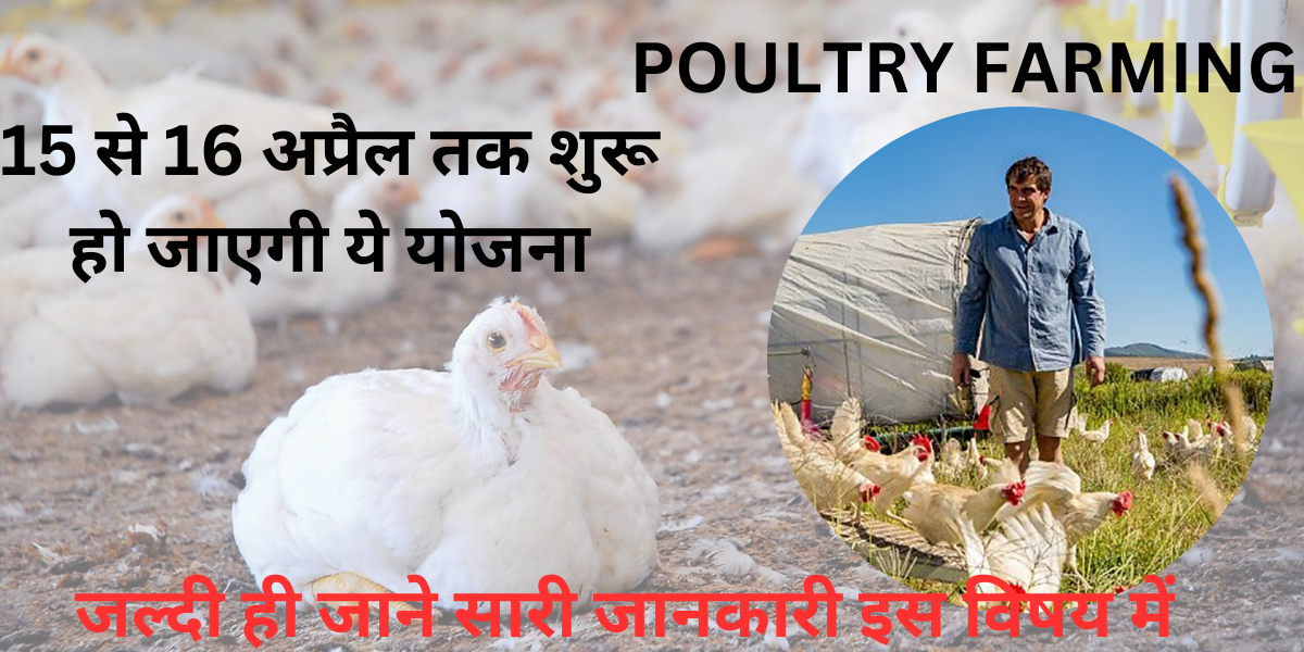 POULTRY FARMING