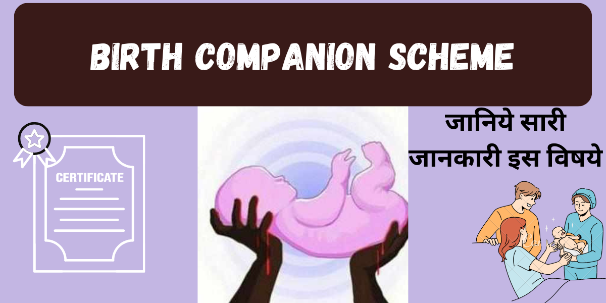 Birth companion scheme