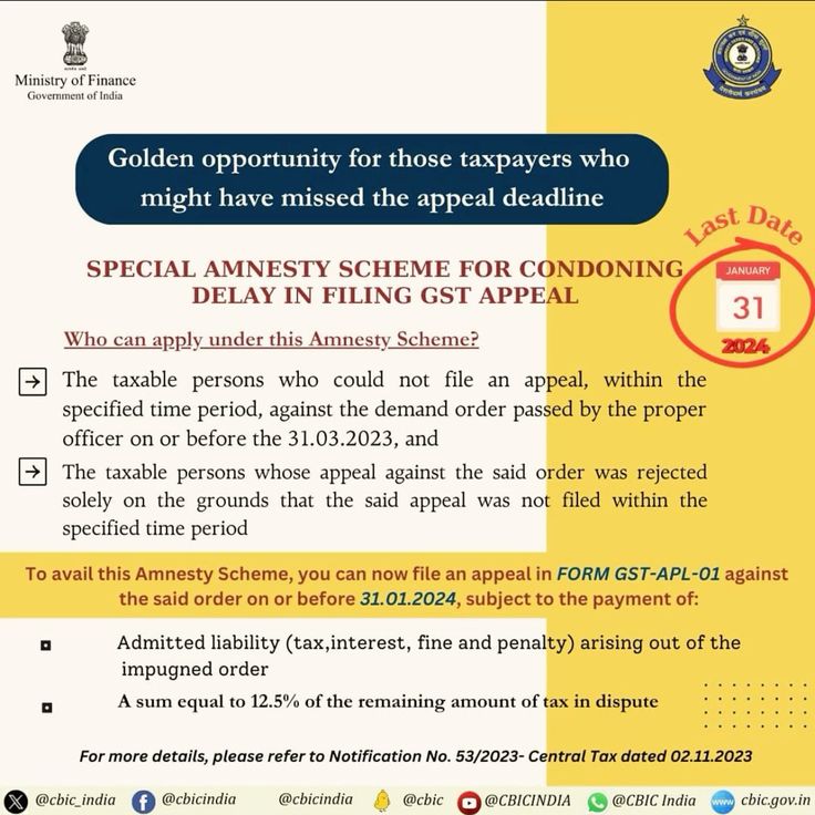  Amnesty Scheme